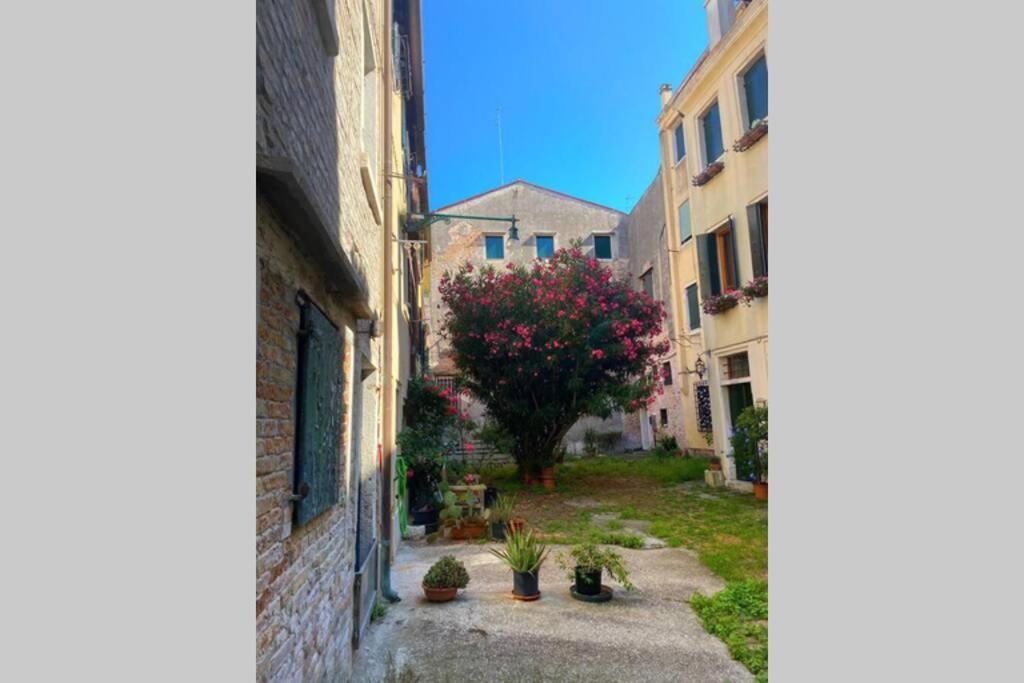 The Glamour Of San Marco Apartment Veneţia Exterior foto